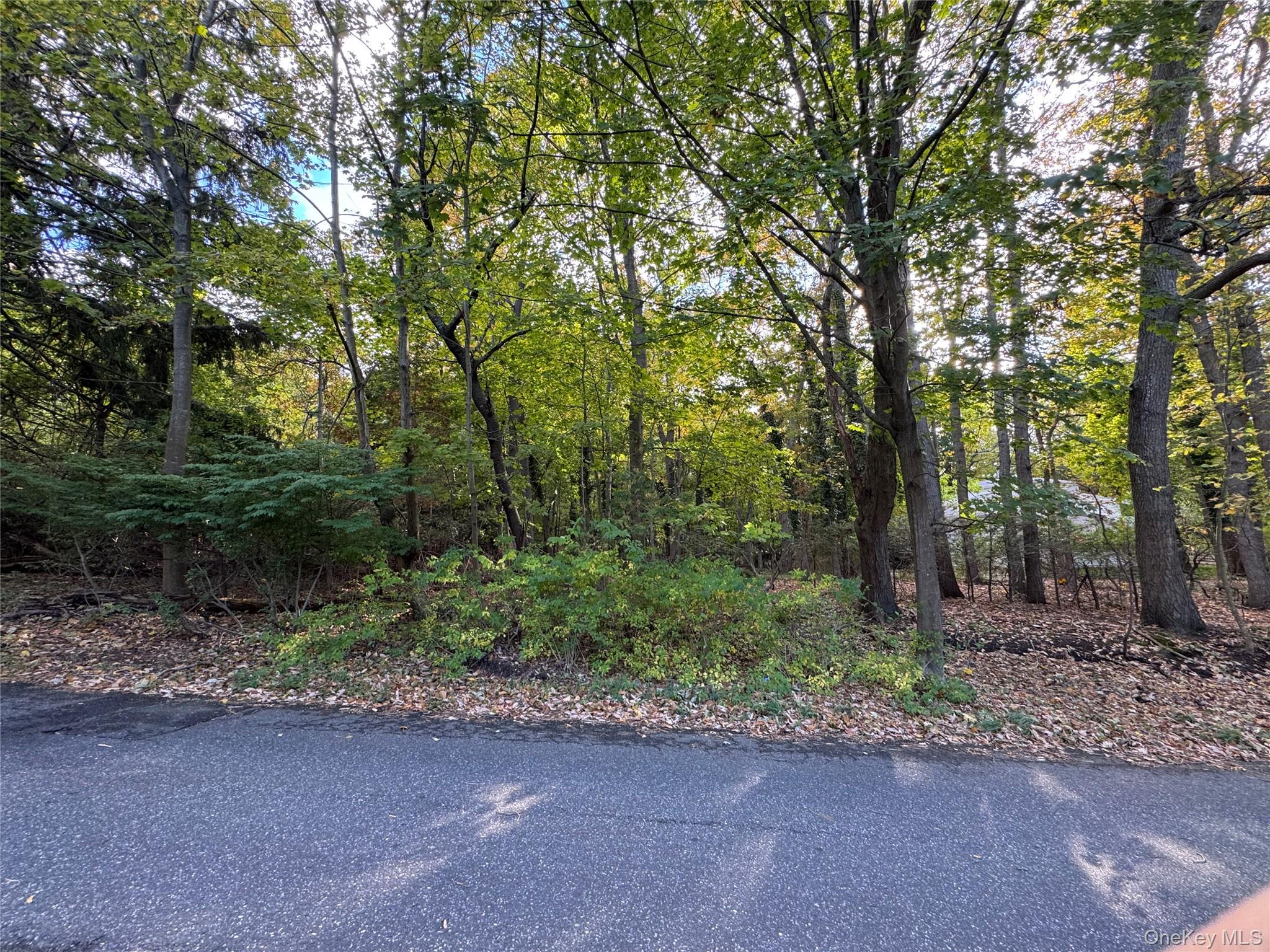 Thompson St/E. Broadway, Port Jefferson Village, NY 11777