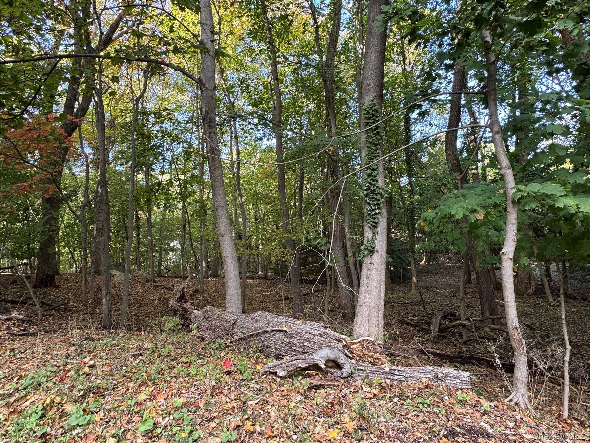 Thompson St/E. Broadway, Port Jefferson Village, NY 11777