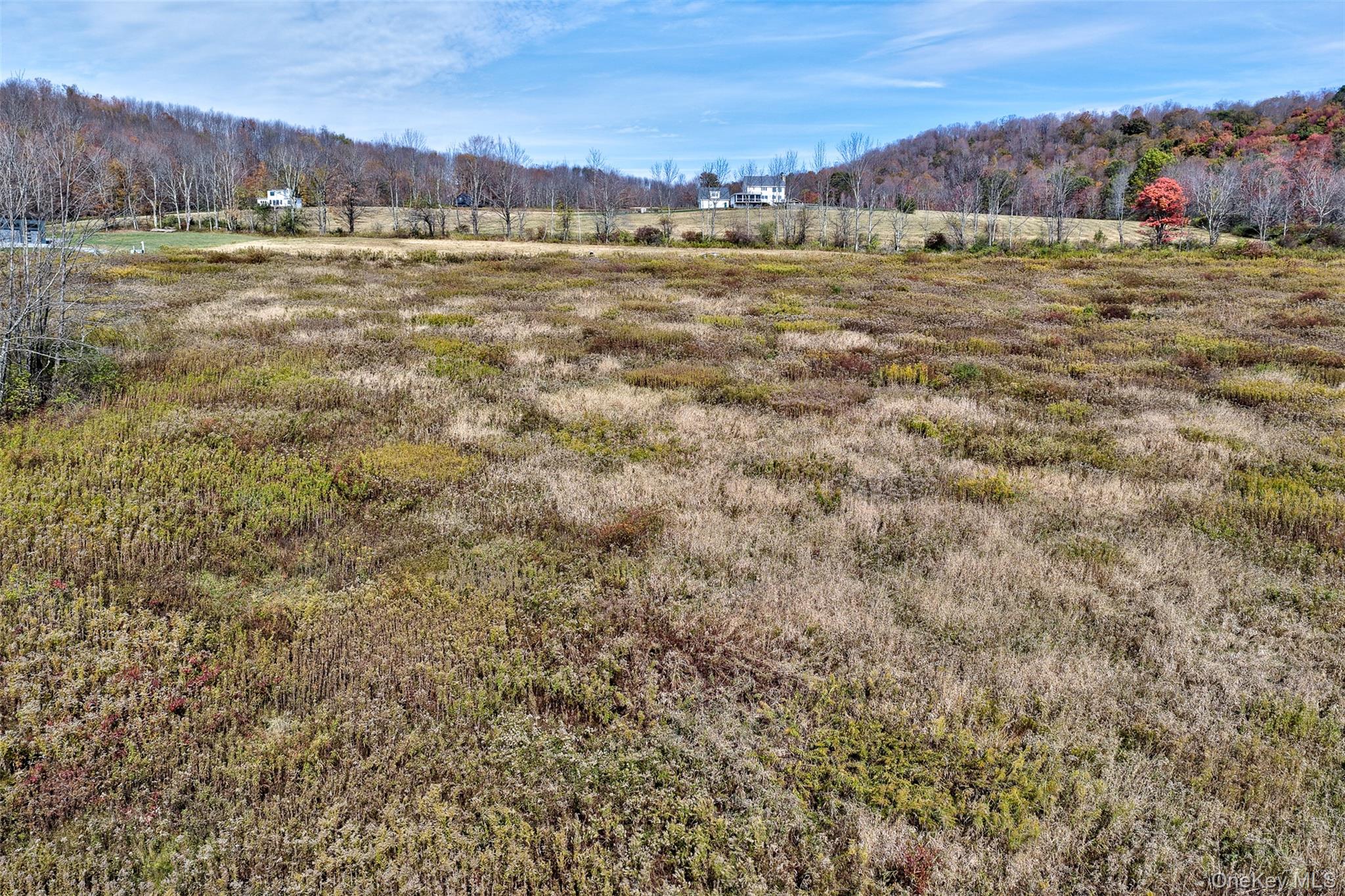 TBD Meadow Lane, Fremont, NY 12736