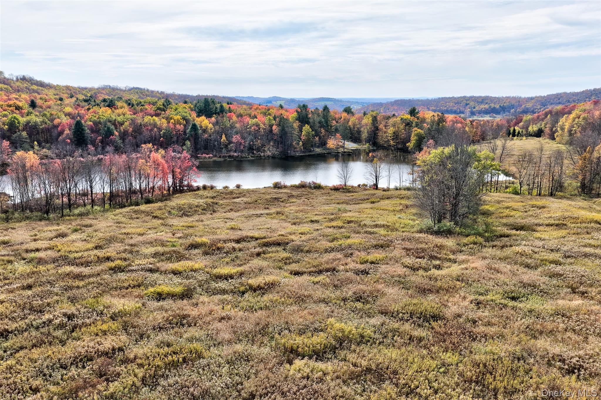 TBD Meadow Lane, Fremont, NY 12736