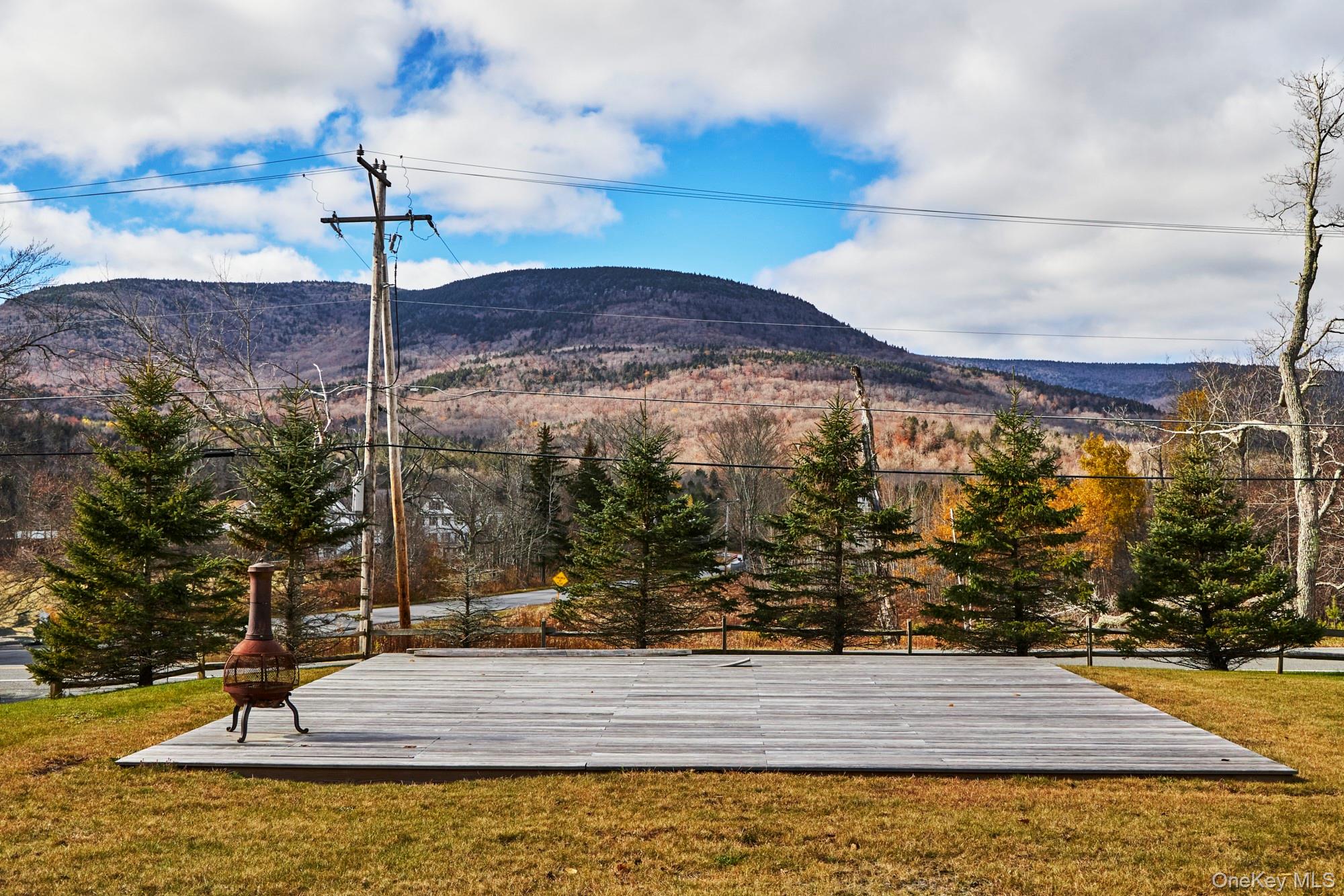 1681 Platte Clove Road, Hunter, NY 12442