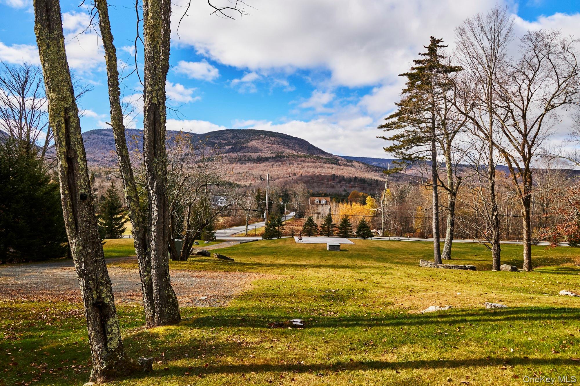 1681 Platte Clove Road, Hunter, NY 12442