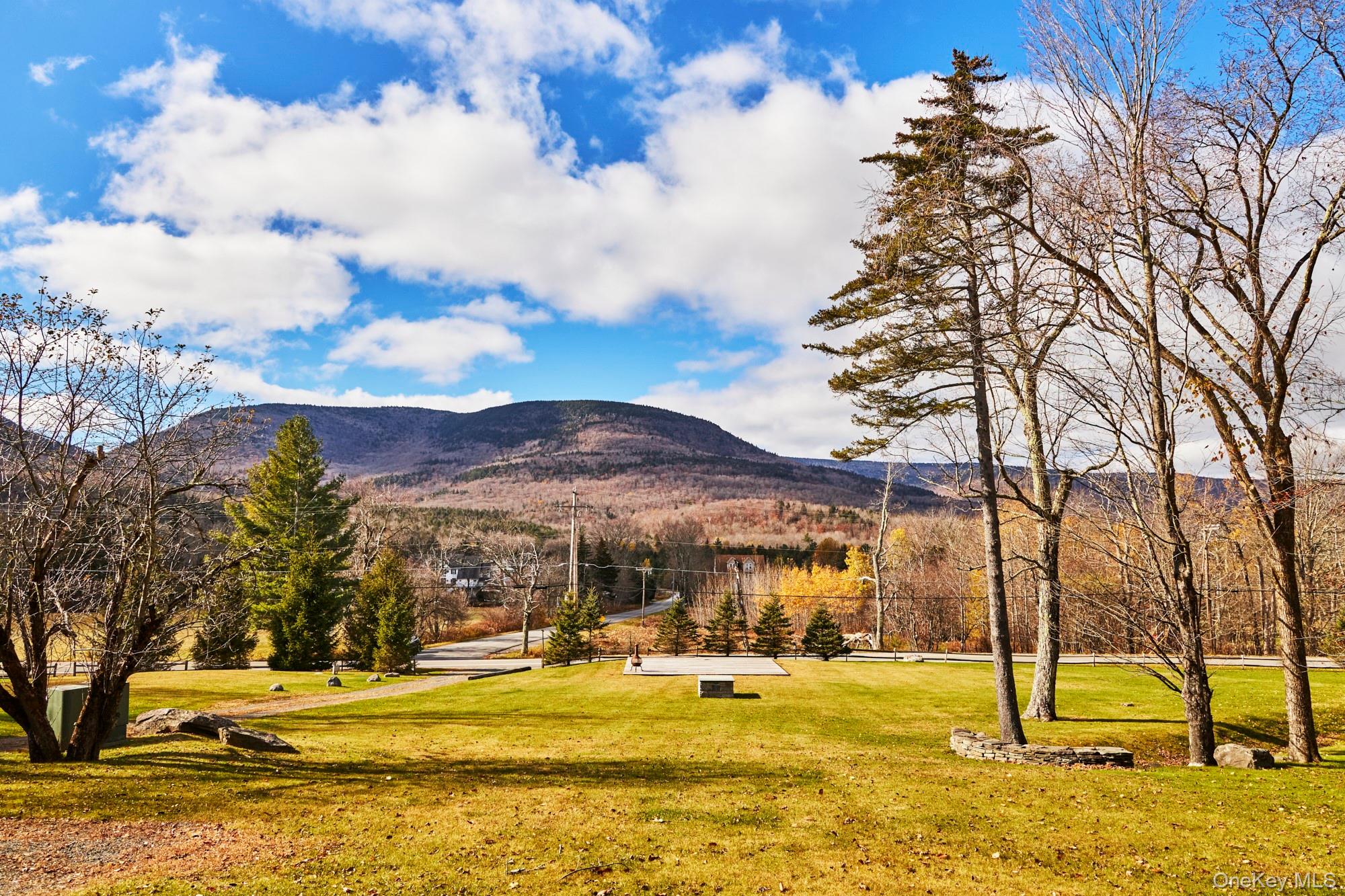 1681 Platte Clove Road, Hunter, NY 12442