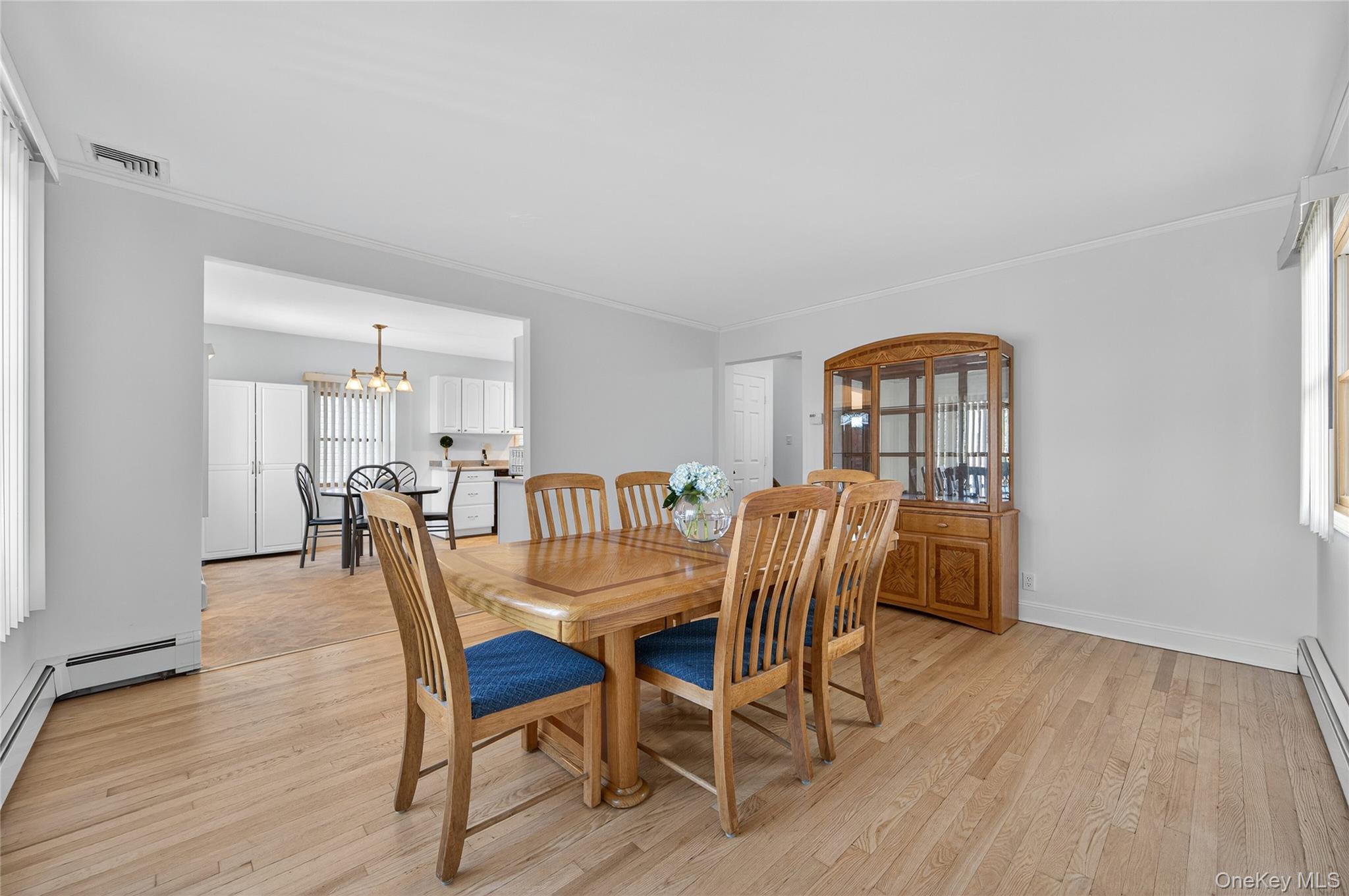 242 James Street, Franklin Square, NY 11010