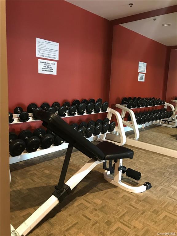 100 New Roc City Place # 206, New Rochelle, NY 10801