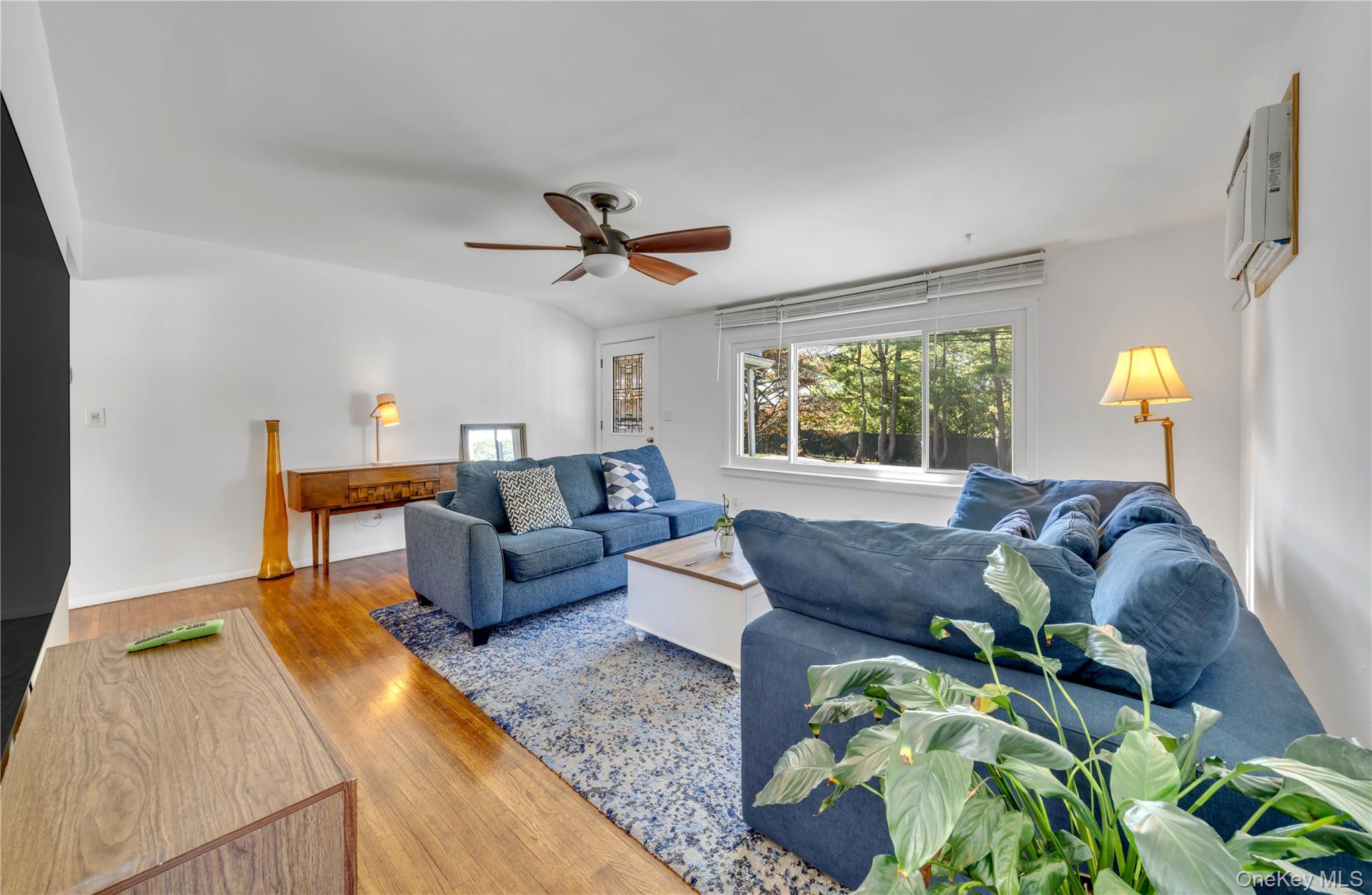 102 Lafayette Street, Copiague, NY 11726