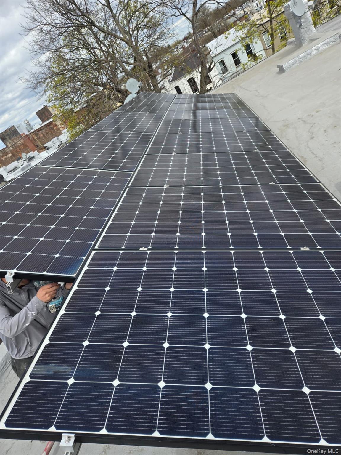 191 Grant Avenue, Brooklyn, NY 11208