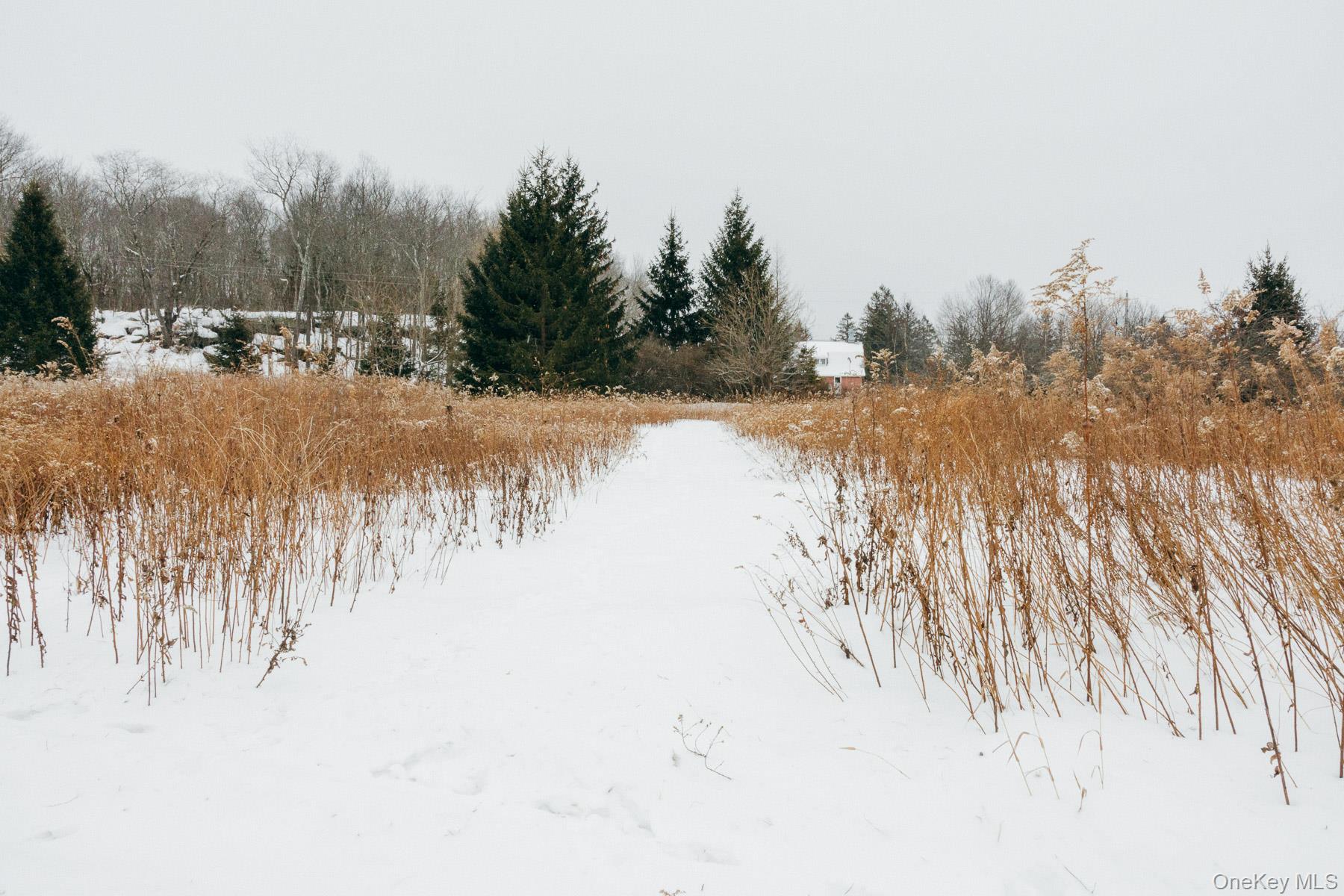 13 N Pond Drive, Parksville, NY 12768