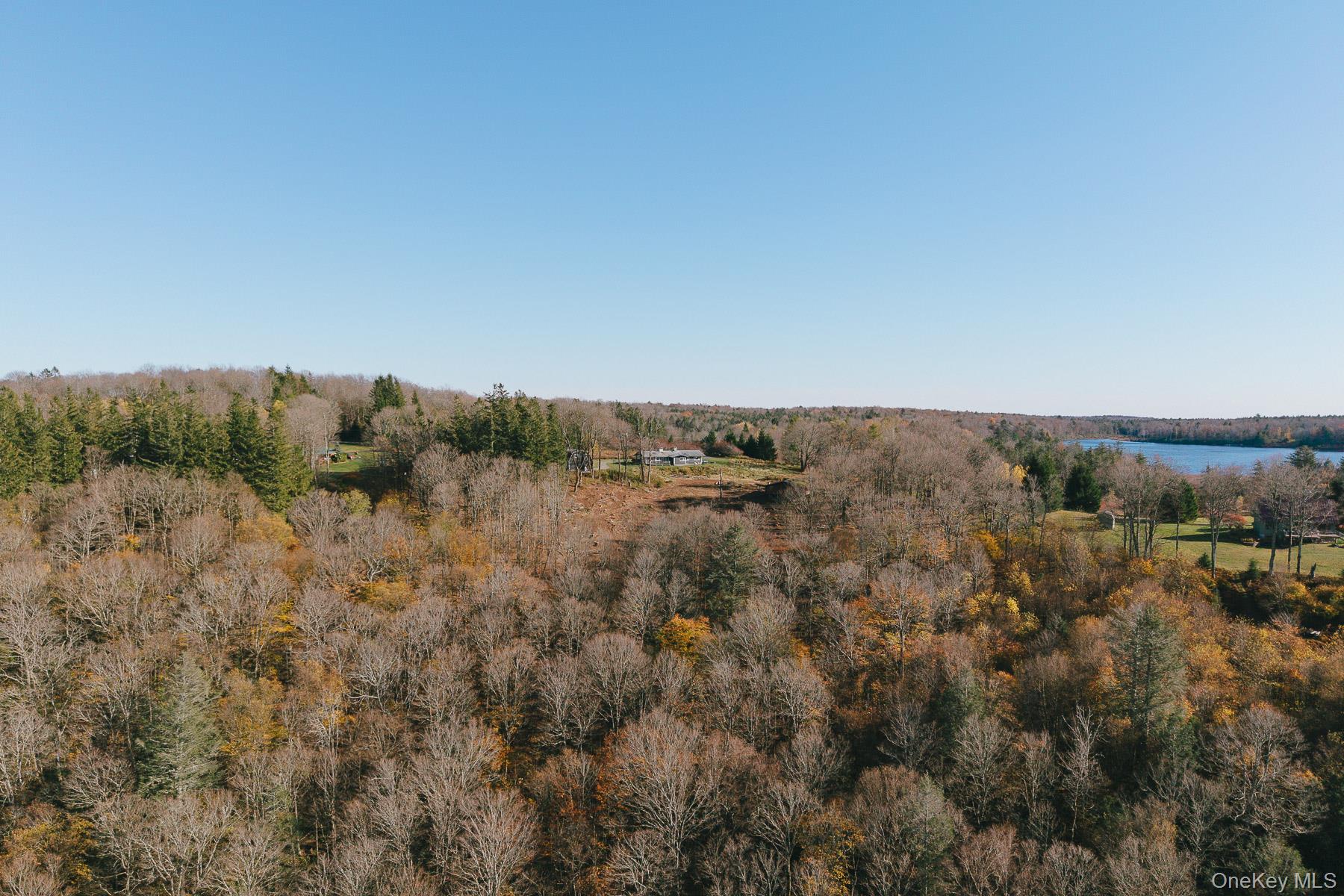 13 N Pond Drive, Parksville, NY 12768