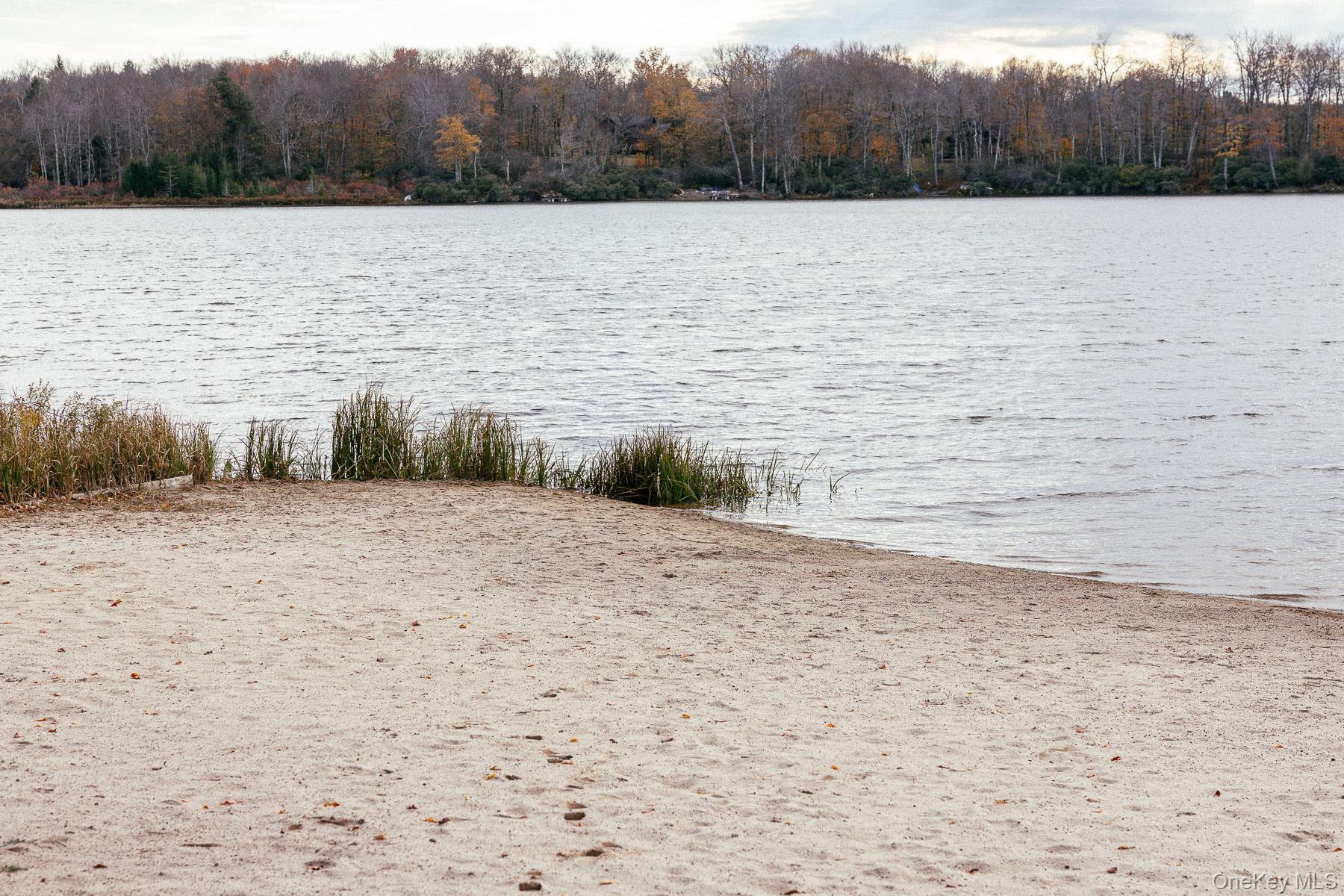 13 N Pond Drive, Parksville, NY 12768