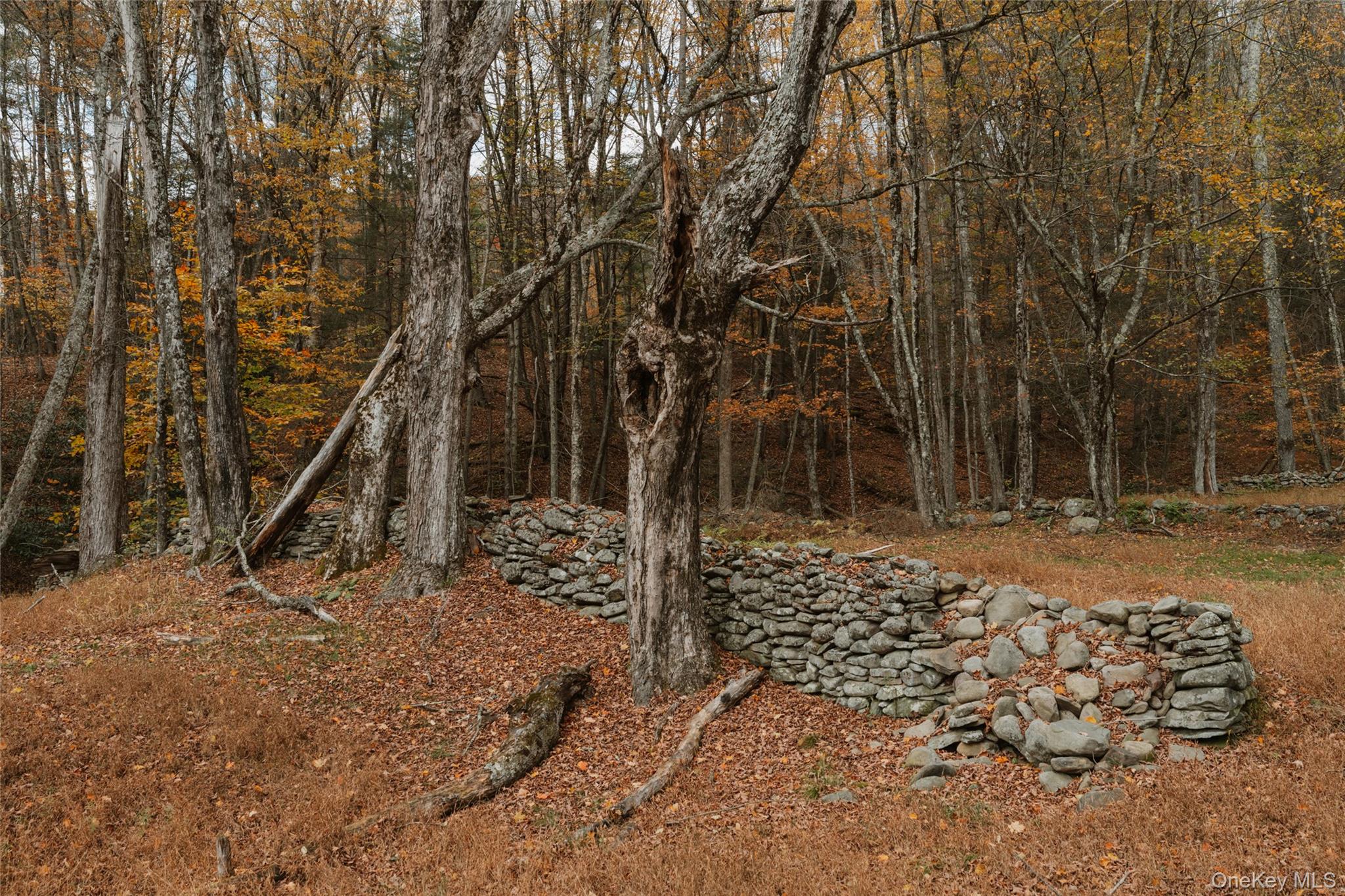 7775 State Route 55, Neversink, NY 12765