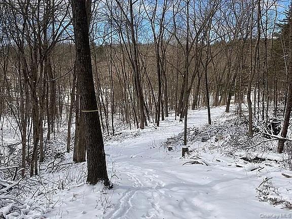 410 County Rt. 25, Hudson, NY 12434