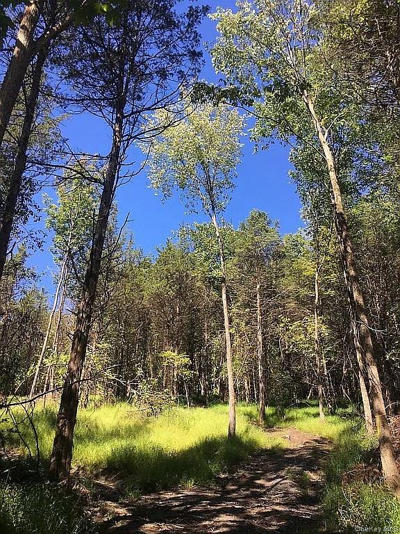 410 County Rt. 25, Hudson, NY 12434