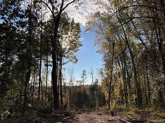 410 County Rt. 25, Hudson, NY 12434