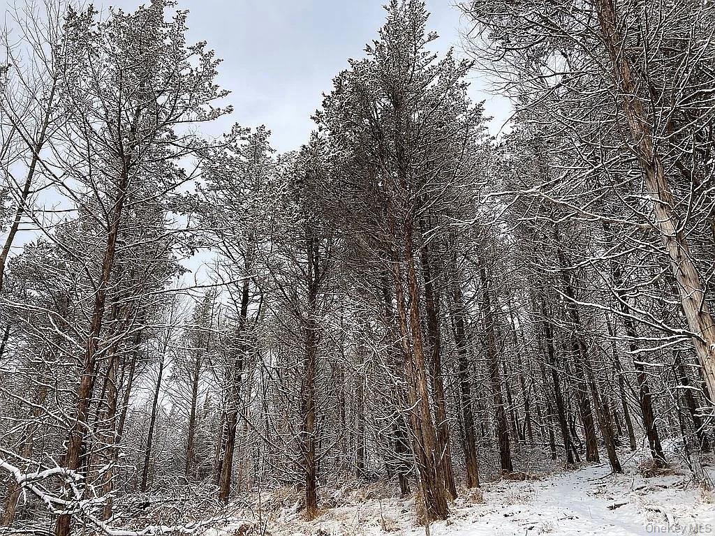 410 County Rt. 25, Hudson, NY 12434