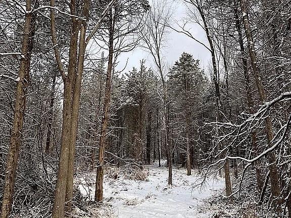 410 County Rt. 25, Hudson, NY 12434