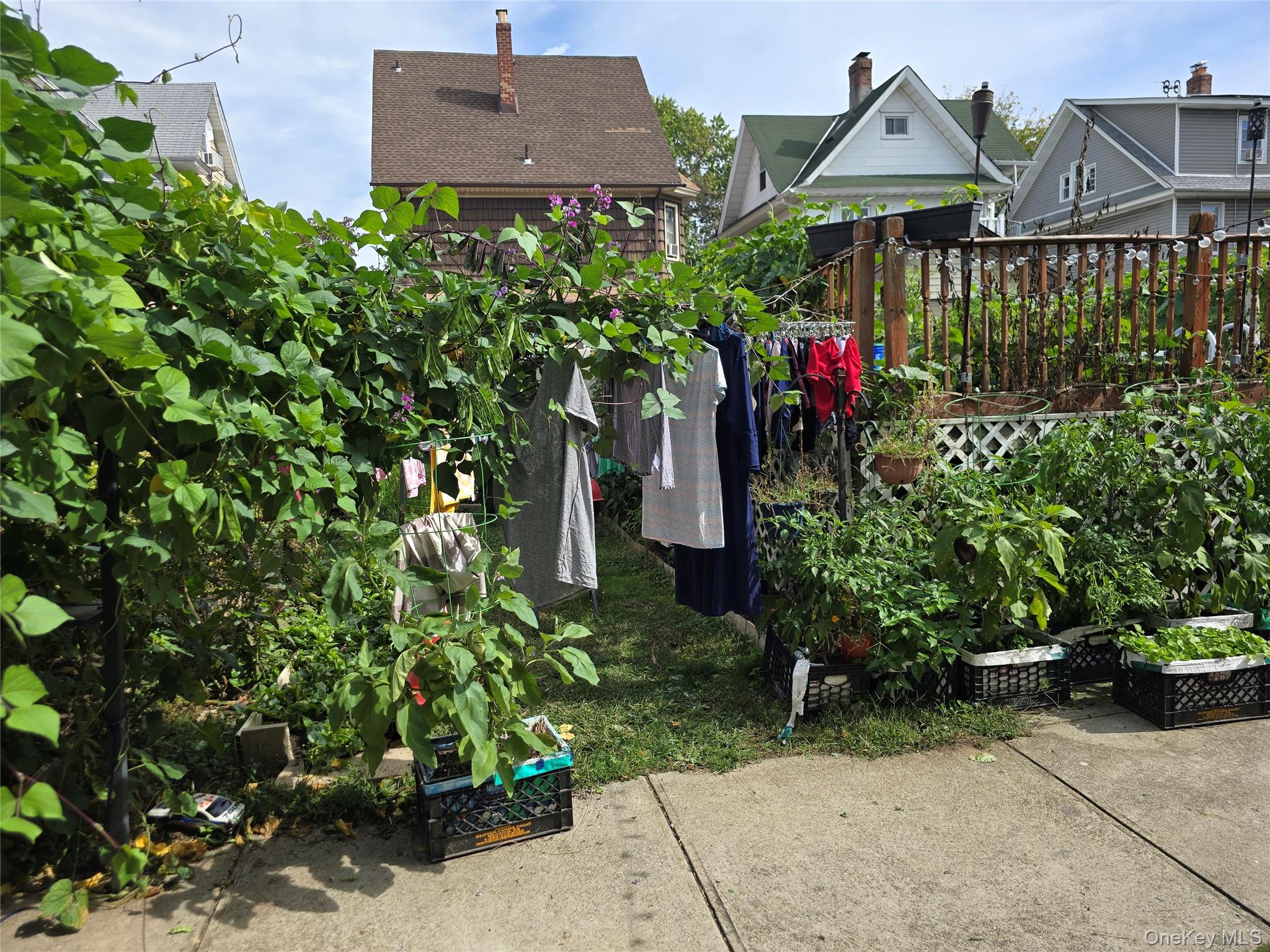 8765 95th Street, Woodhaven, NY 11421