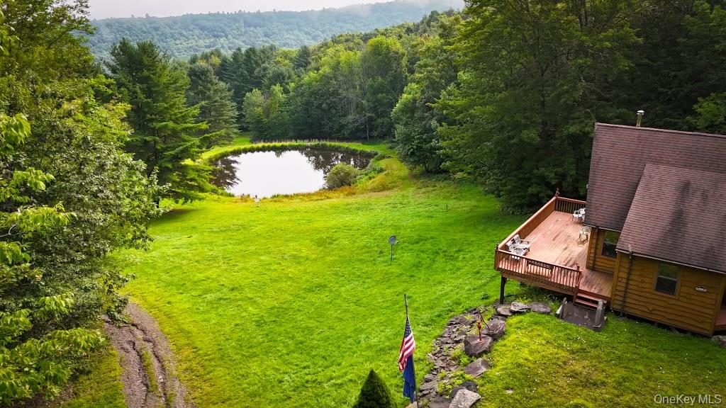 365 Via Appian Way, Roscoe, NY 12776