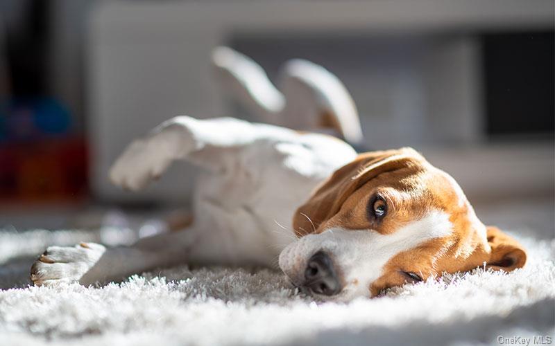 1 Dekalb Avenue # 406, White Plains, NY 10605