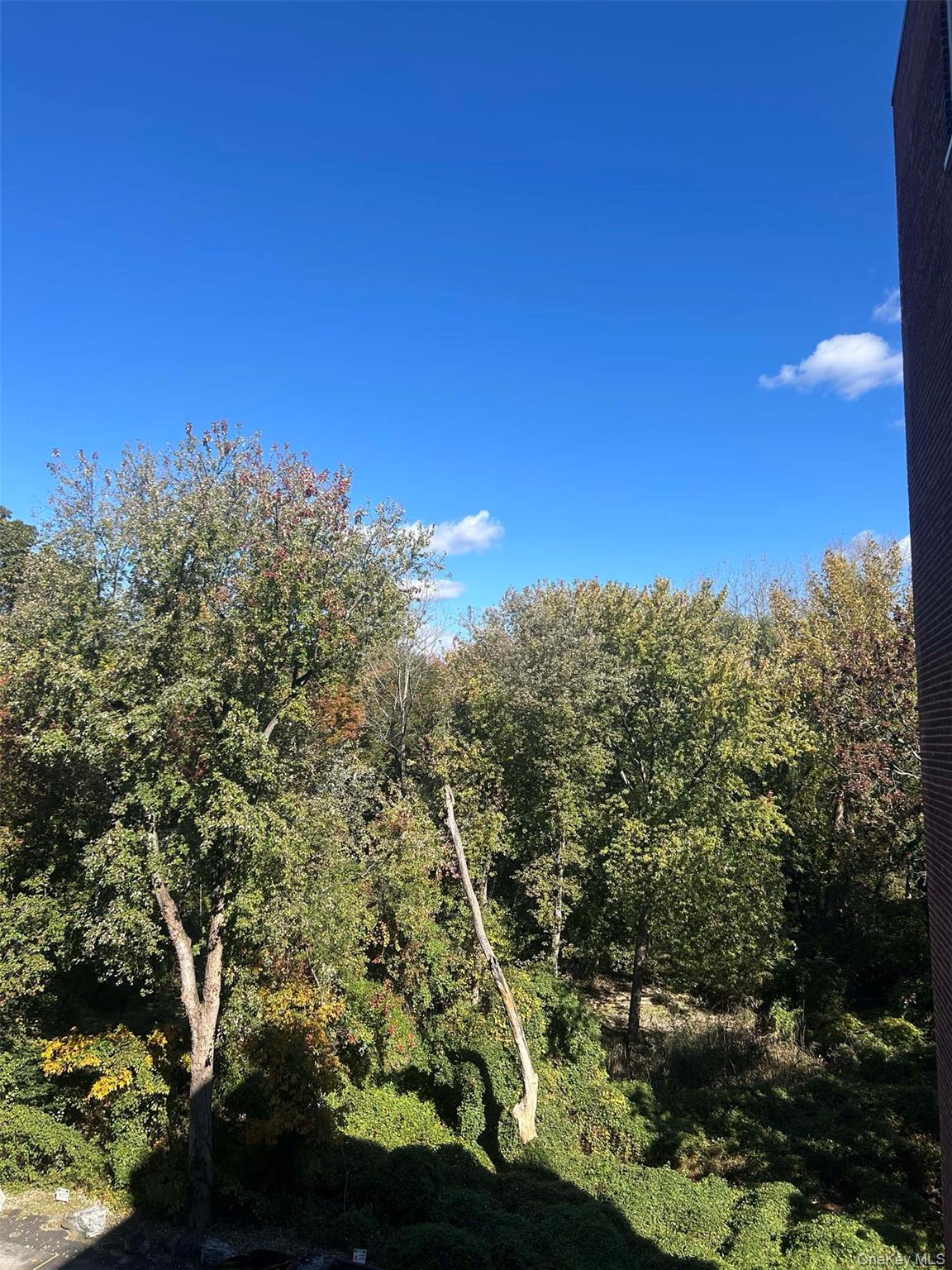 1111 Midland Avenue # 4 P, Bronxville, NY 10708