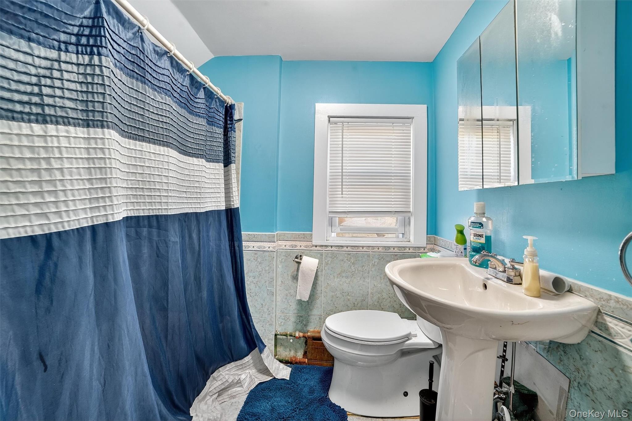 17 Mount Joy Place, New Rochelle, NY 10801