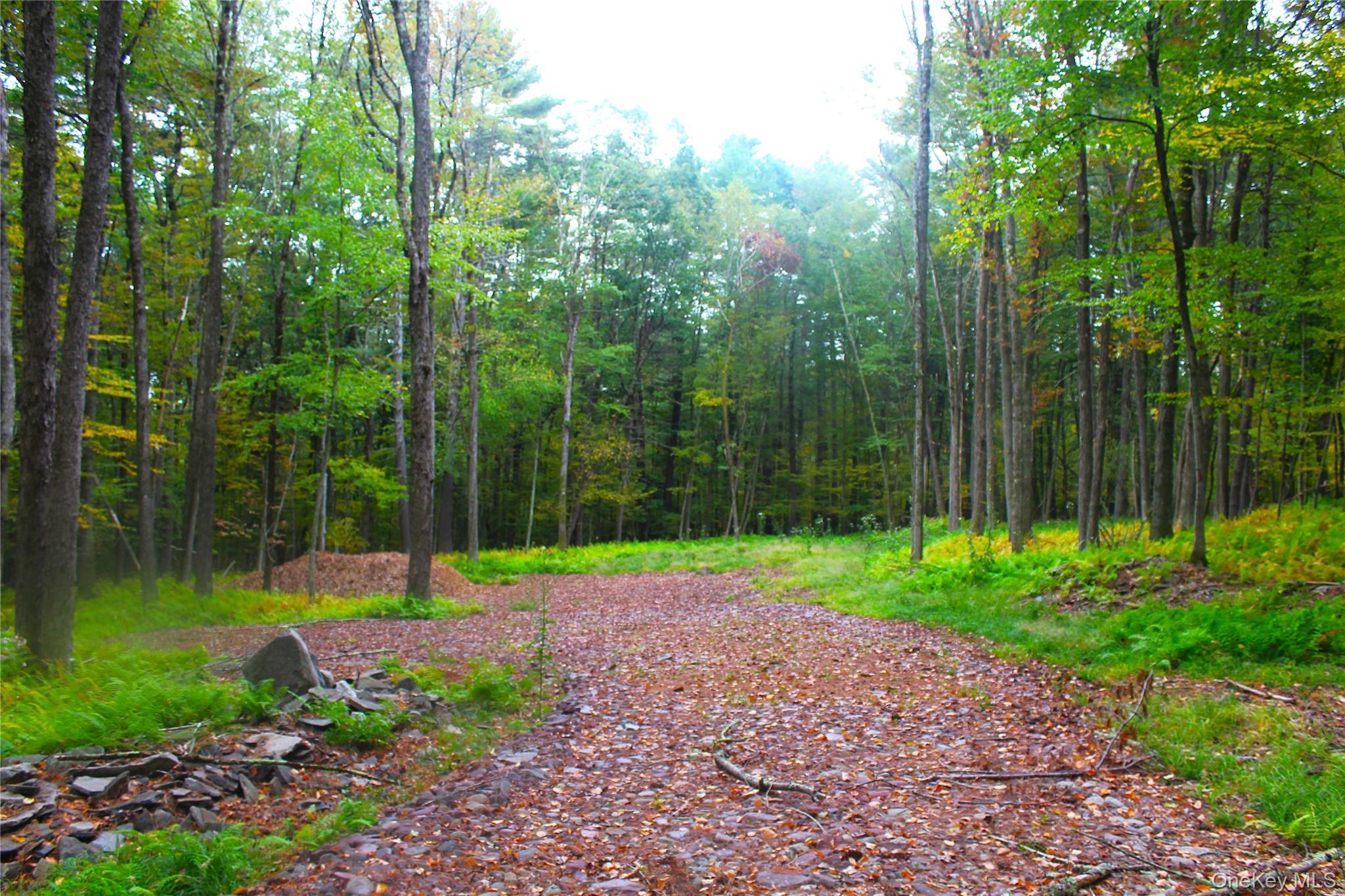Lot 2 Evergreen Lane, Narrowsburg, NY 12764