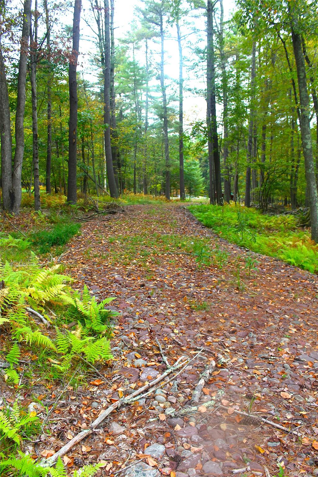 Lot 2 Evergreen Lane, Narrowsburg, NY 12764