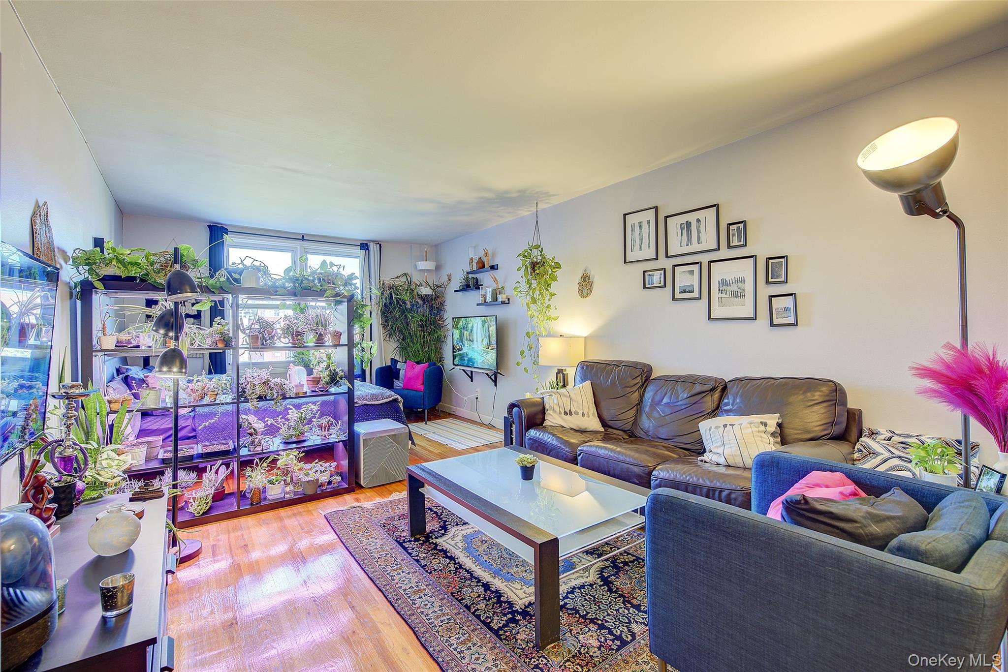 66-01 Burns Street # 4N, Rego Park, NY 11374