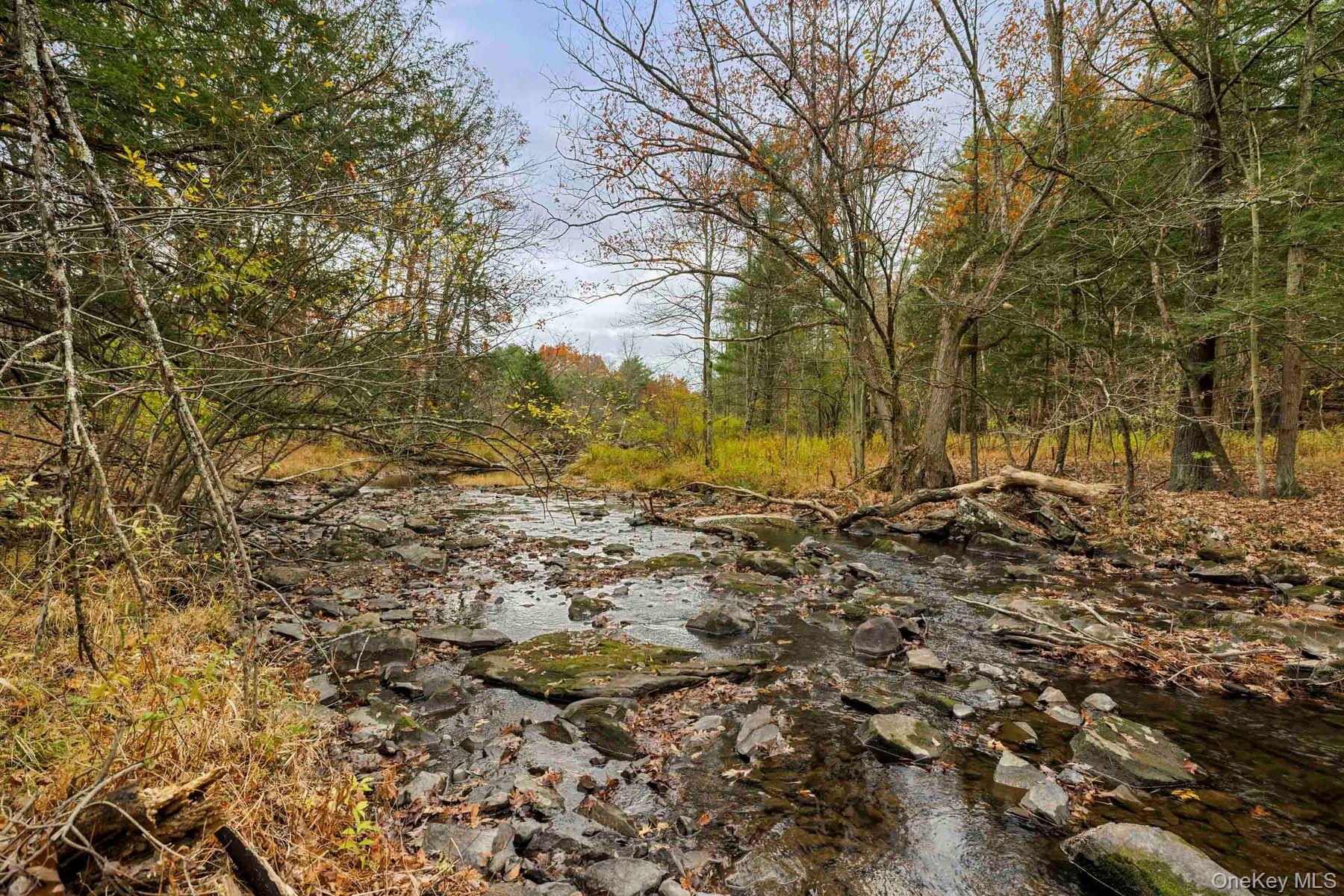 2021-2071 Potic Mountain Road, Earlton, NY 12051