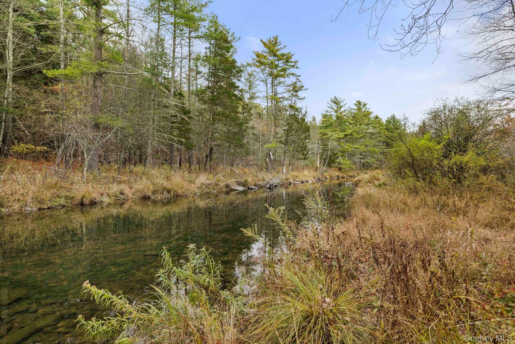 2021-2071 Potic Mountain Road, Earlton, NY 12051