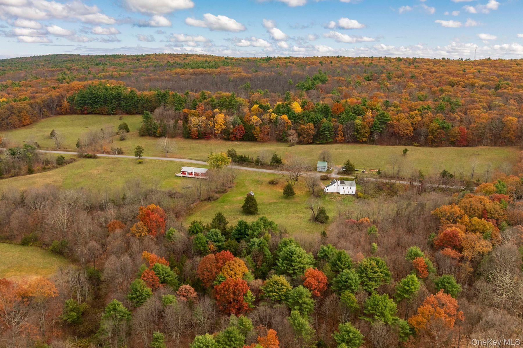 2021-2071 Potic Mountain Road, Earlton, NY 12051