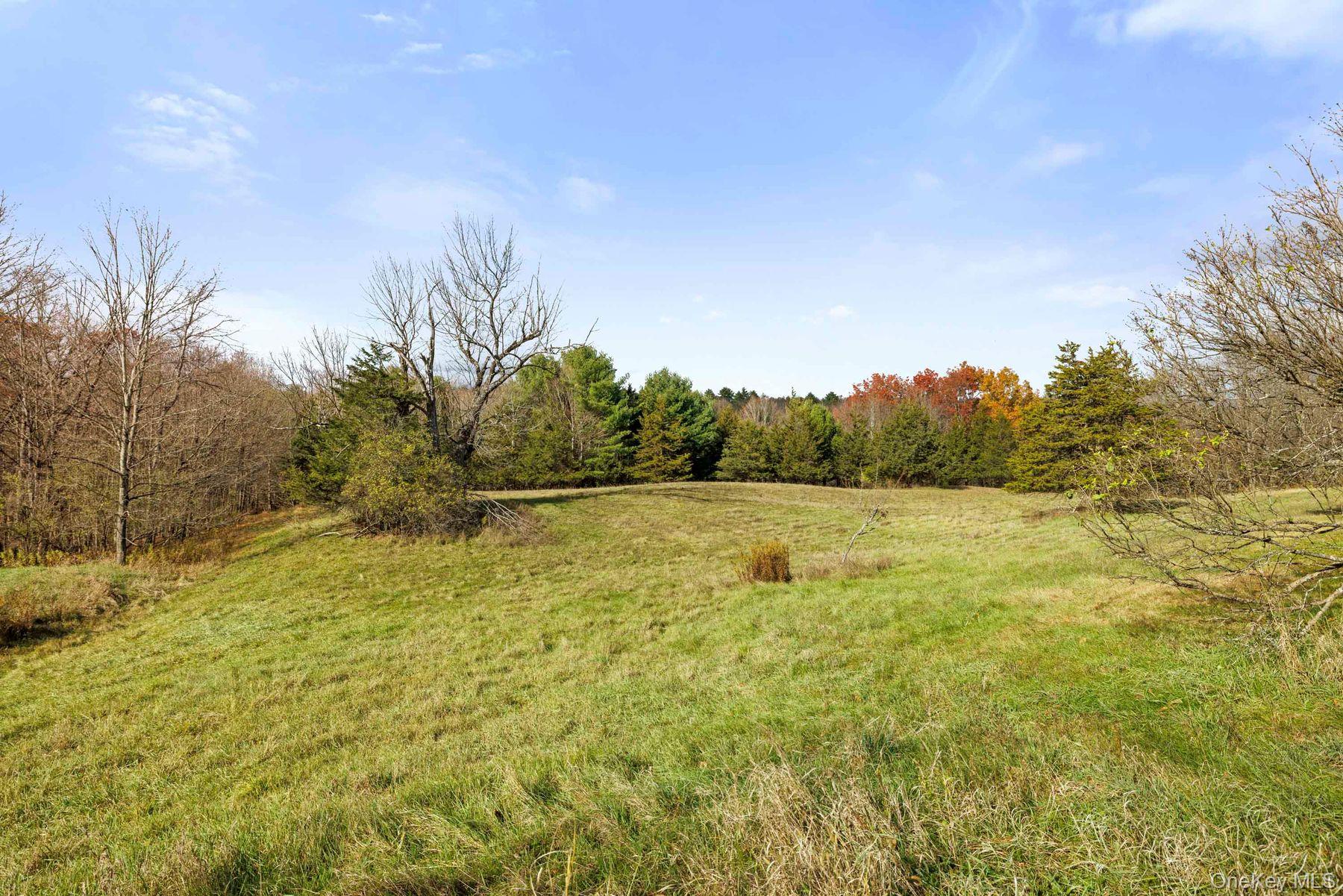 2021-2071 Potic Mountain Road, Earlton, NY 12051