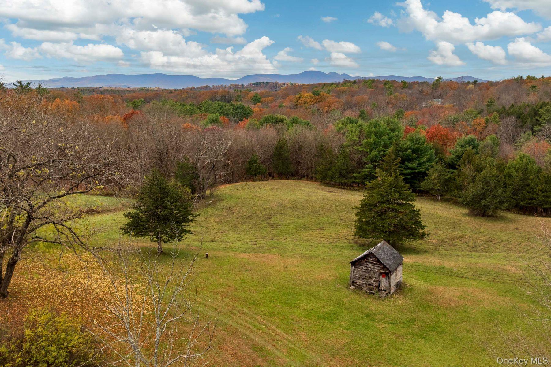 2021-2071 Potic Mountain Road, Earlton, NY 12051