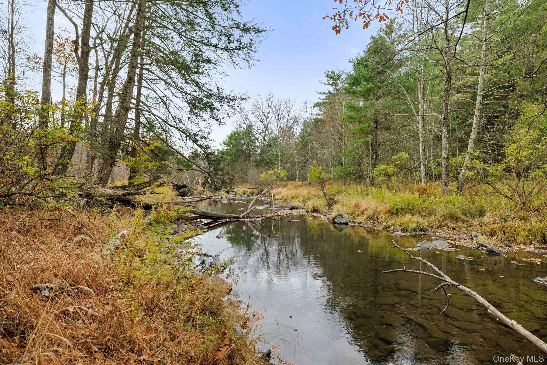 2021-2071 Potic Mountain Road, Earlton, NY 12051