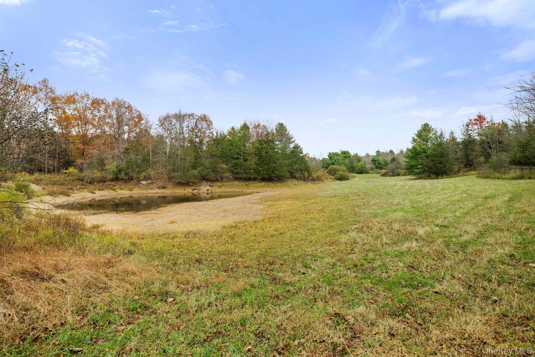 2021-2071 Potic Mountain Road, Earlton, NY 12051