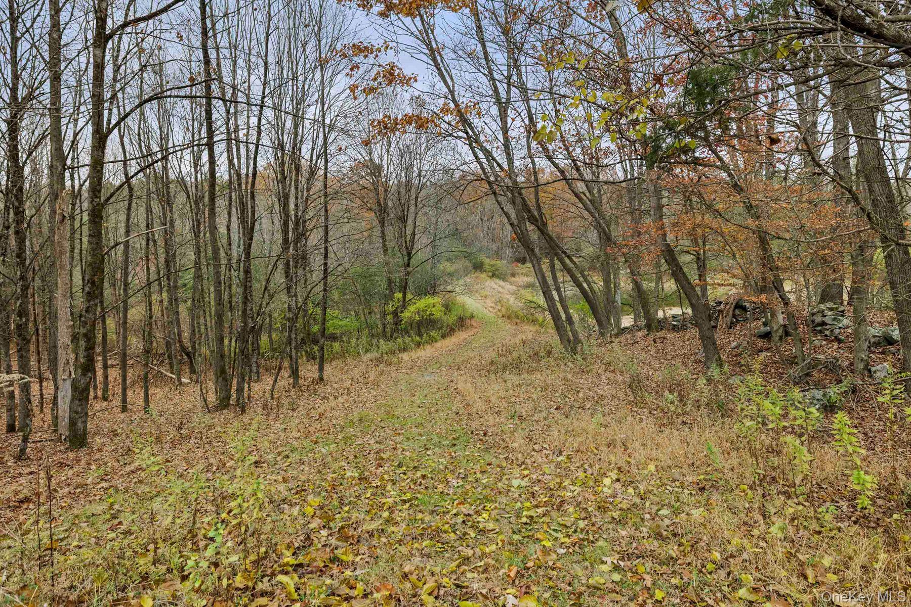 2021-2071 Potic Mountain Road, Earlton, NY 12051