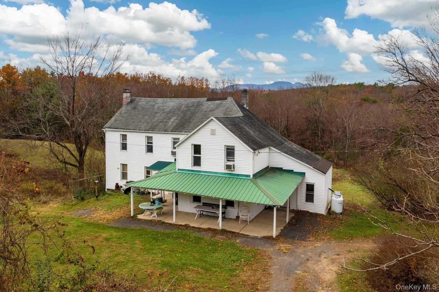 2021-2071 Potic Mountain Road, Earlton, NY 12051