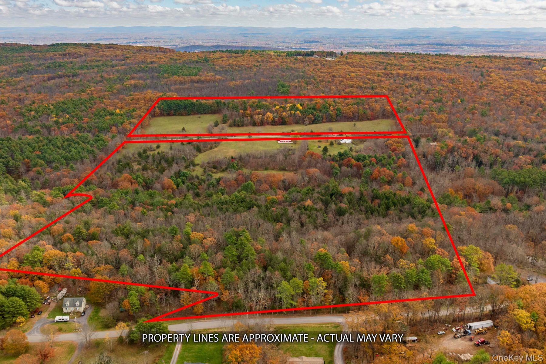 2021-2071 Potic Mountain Road, Earlton, NY 12051