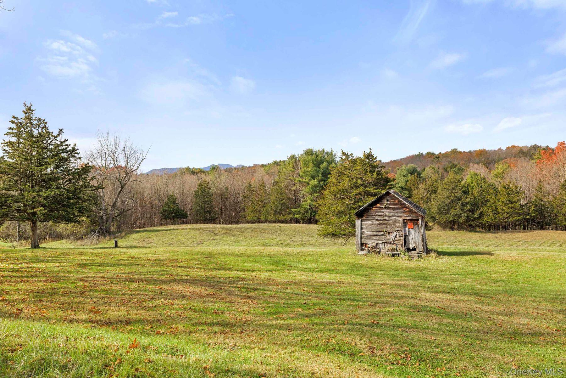 2021-2071 Potic Mountain Road, Earlton, NY 12051