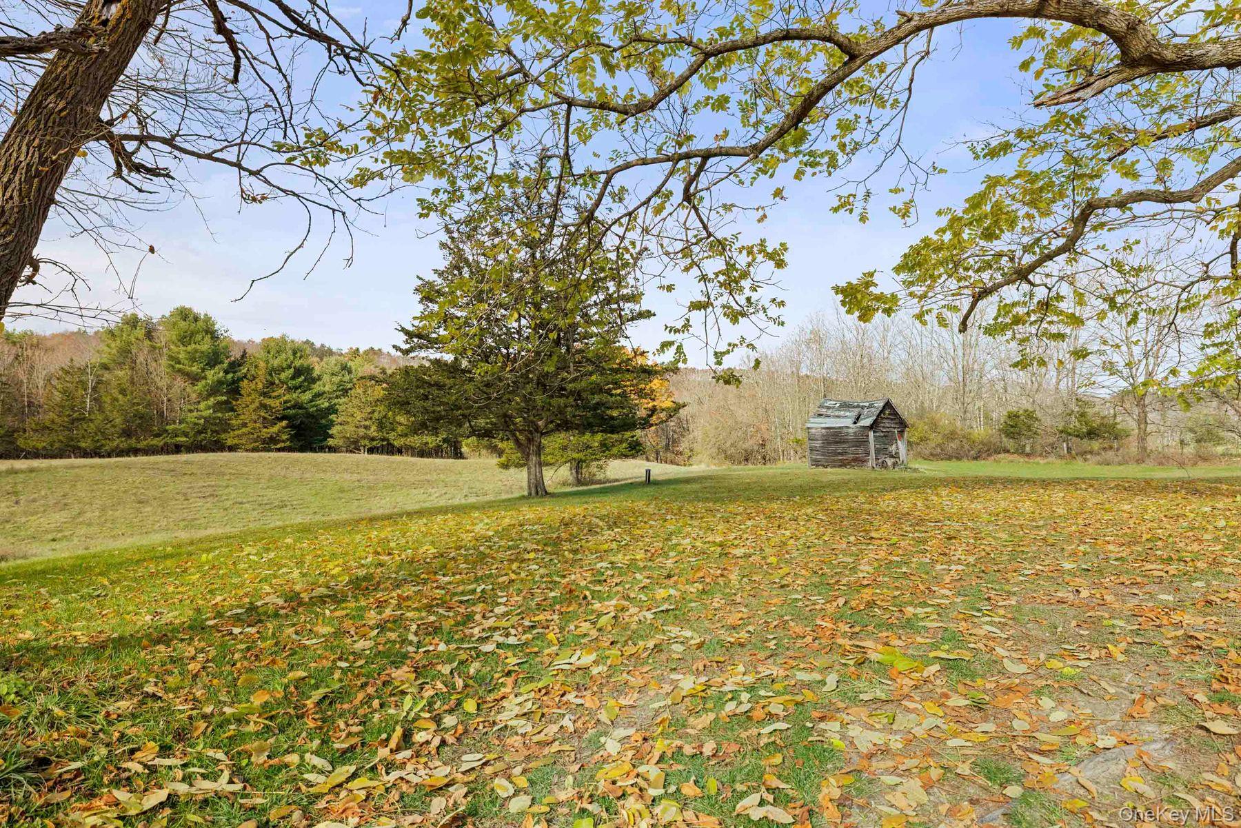 2021-2071 Potic Mountain Road, Earlton, NY 12051