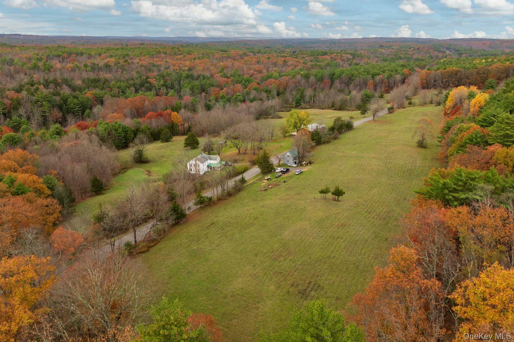 2021-2071 Potic Mountain Road, Earlton, NY 12051