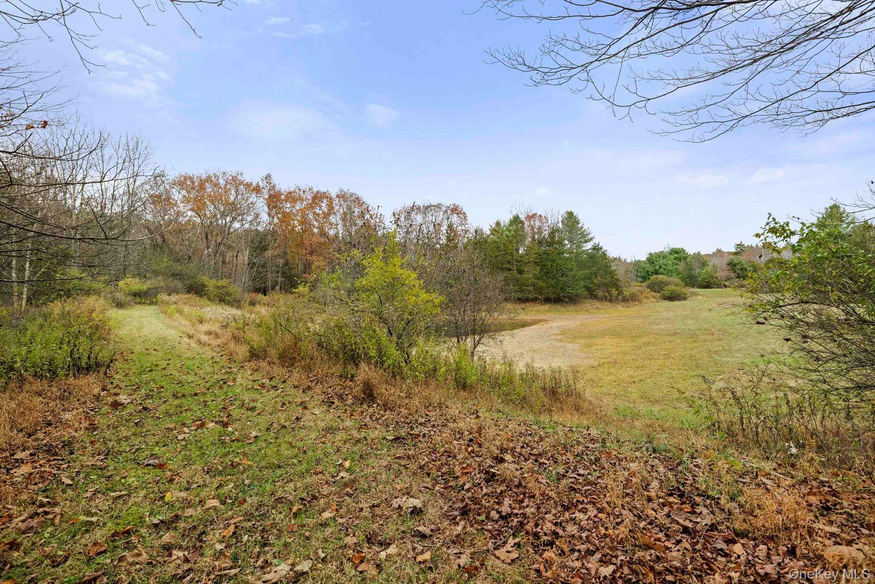 2021-2071 Potic Mountain Road, Earlton, NY 12051