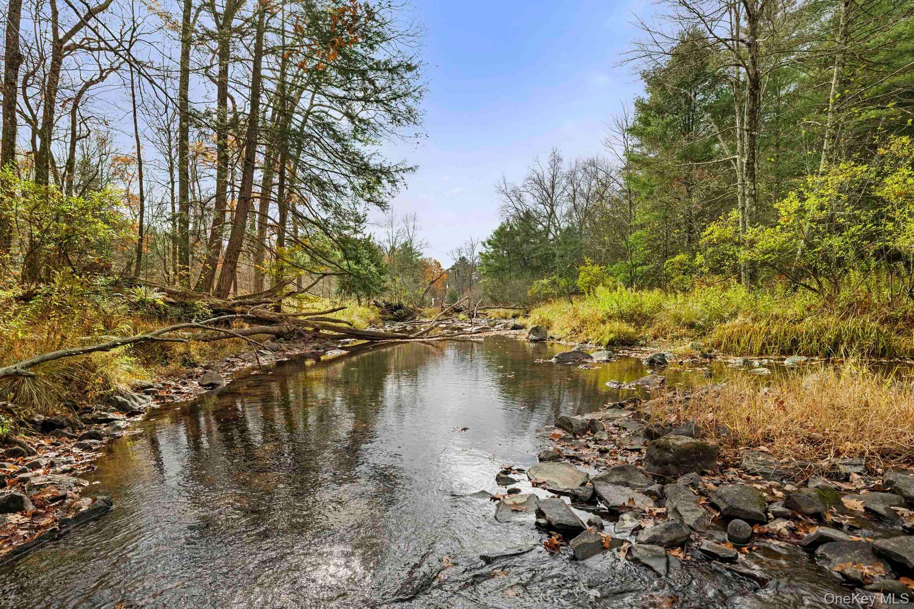 2021-2071 Potic Mountain Road, Earlton, NY 12051