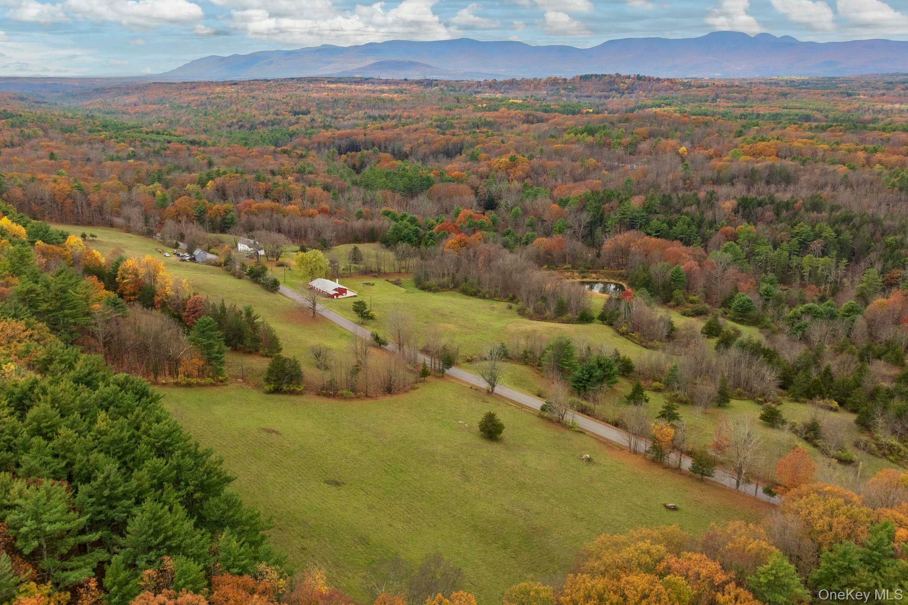 2021-2071 Potic Mountain Road, Earlton, NY 12051