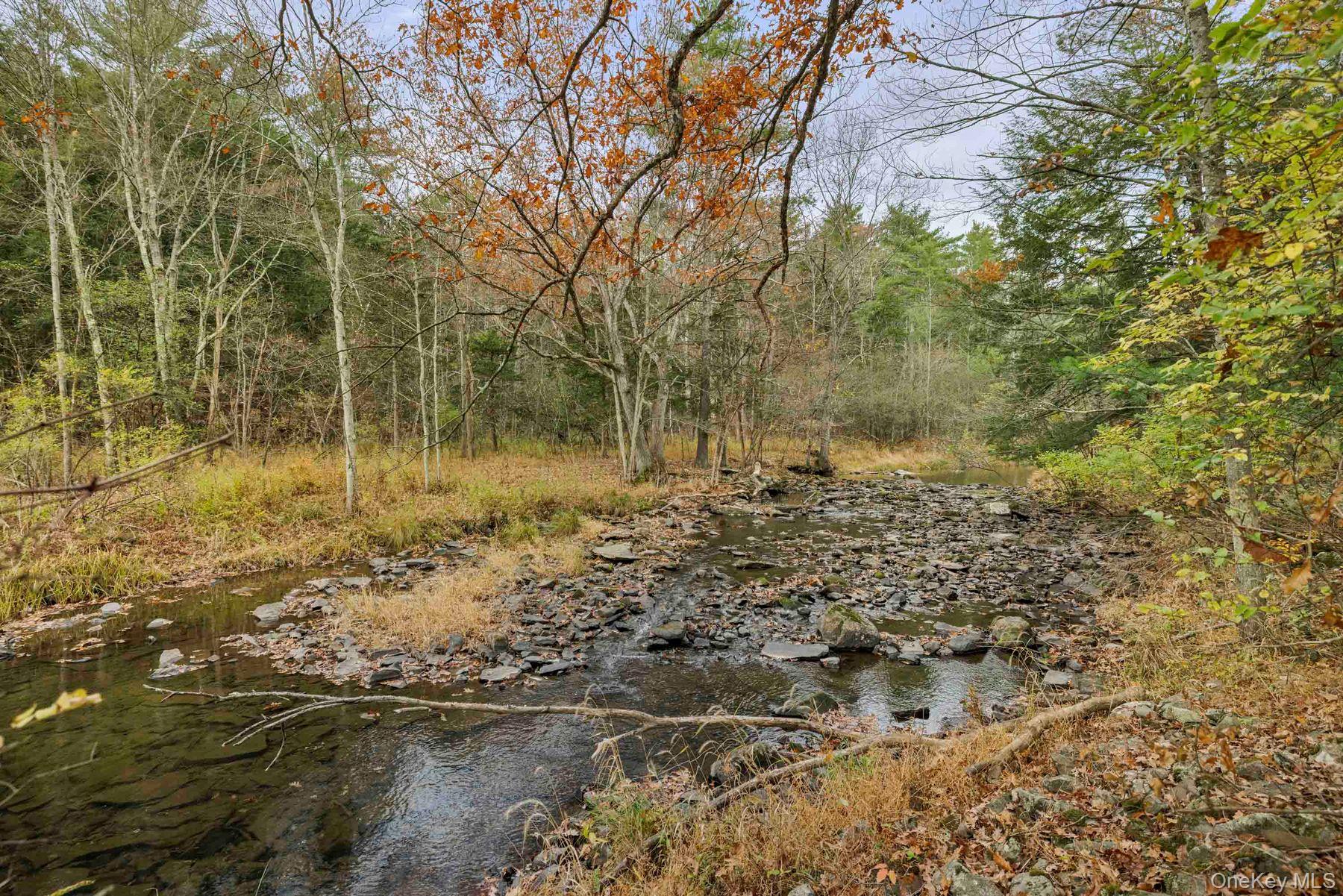 2021-2071 Potic Mountain Road, Earlton, NY 12051