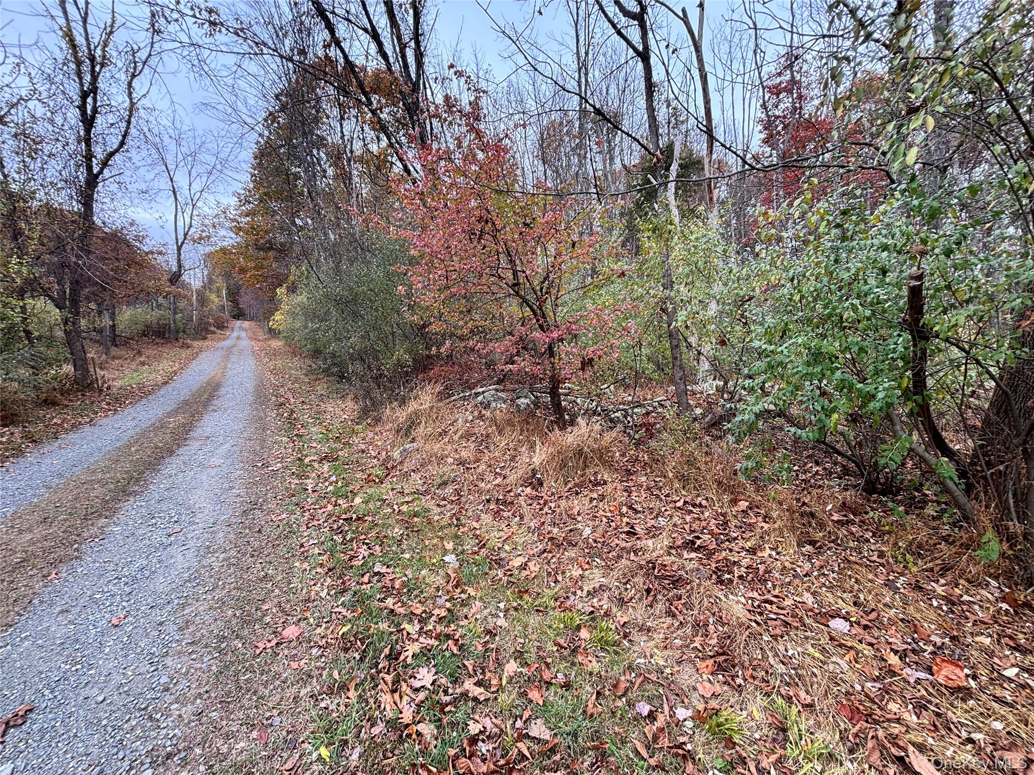 Gildea Ln, Westtown, NY 10998