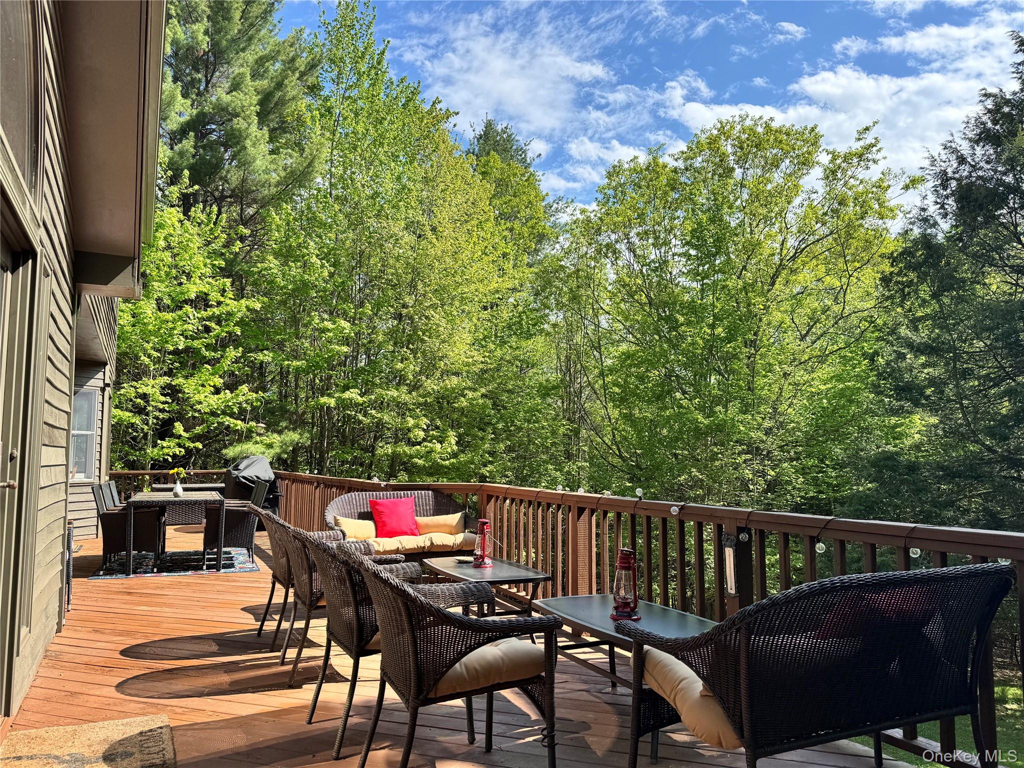 61 Mount View Estates Road, Windham, NY 12407