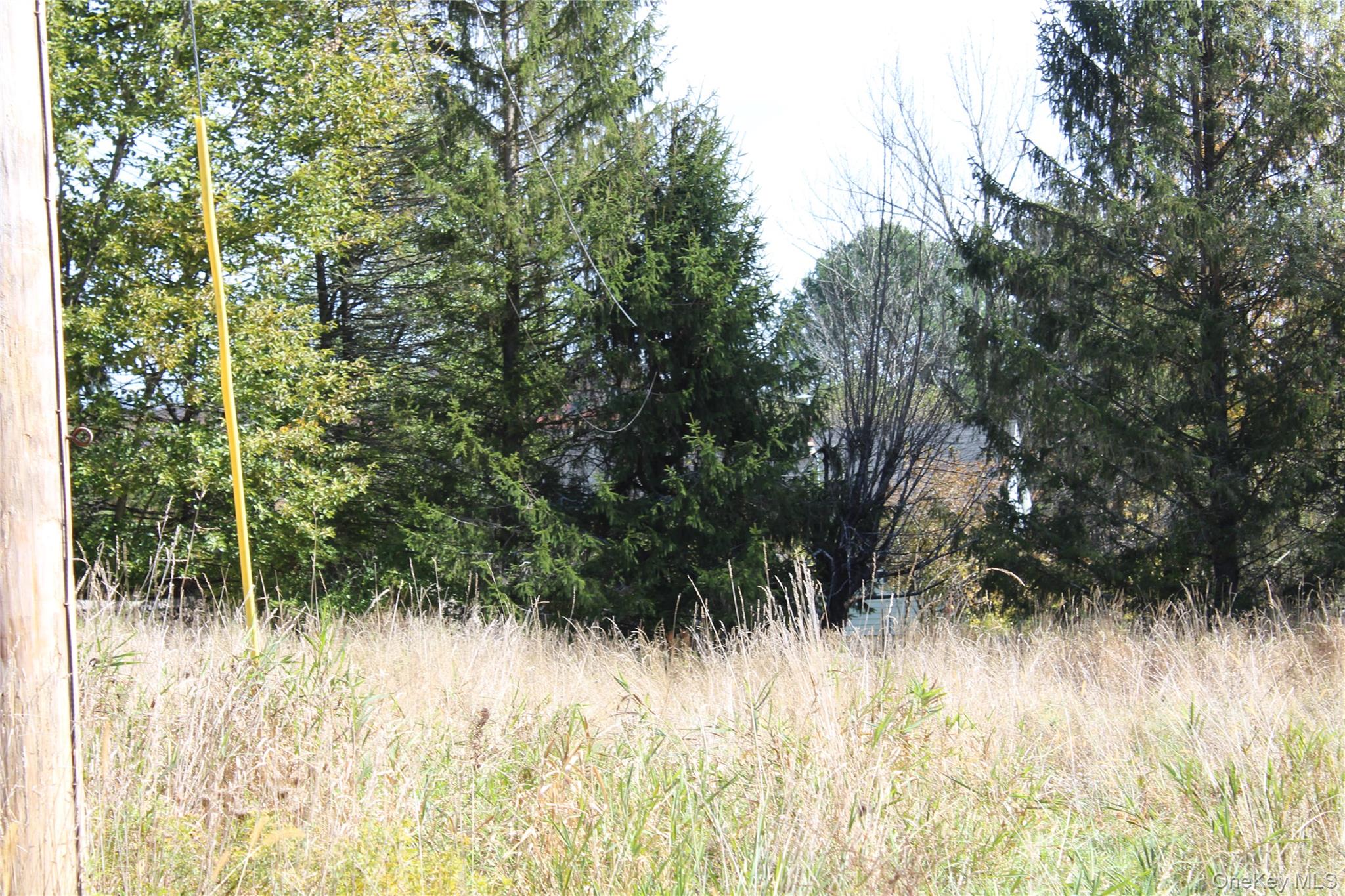 135-149 Wildcat Road, Monticello, NY 12701