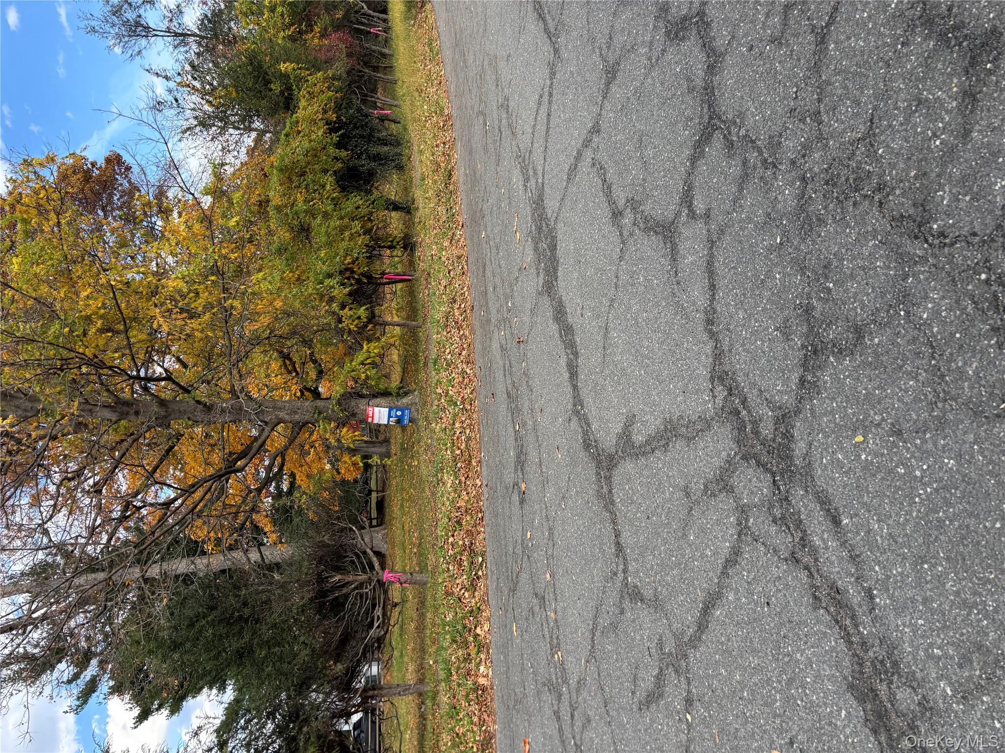 Orchard off Manhattan Manhattan, New Rochelle, NY