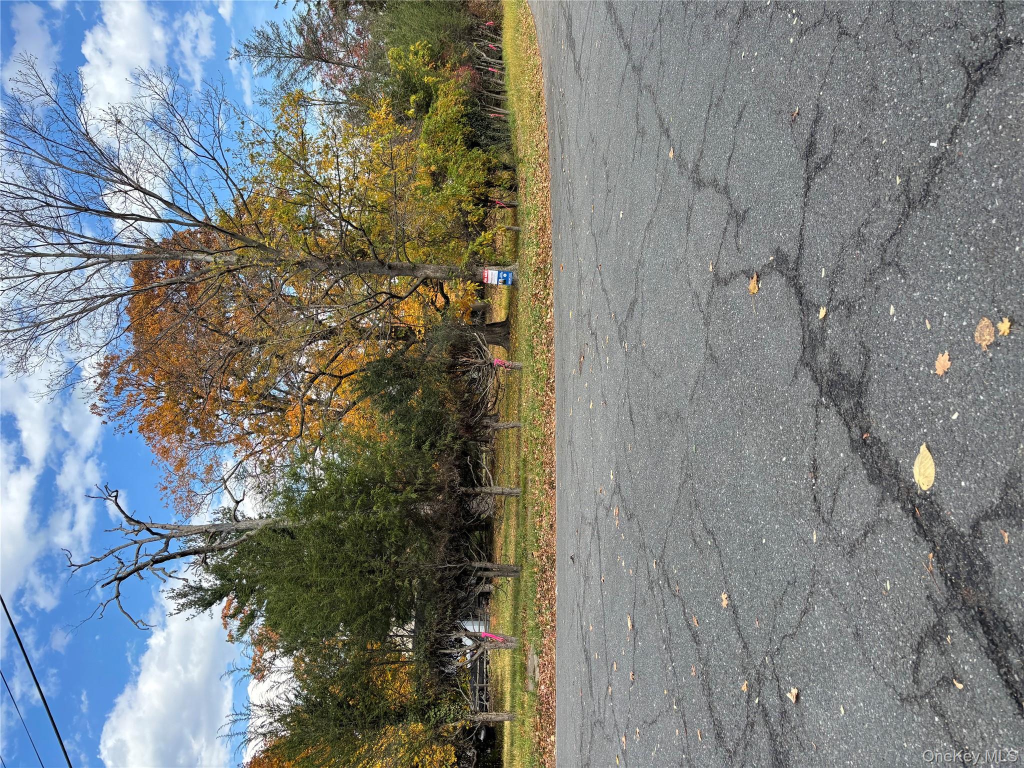 Orchard  off Manhattan Manhattan, New Rochelle, NY